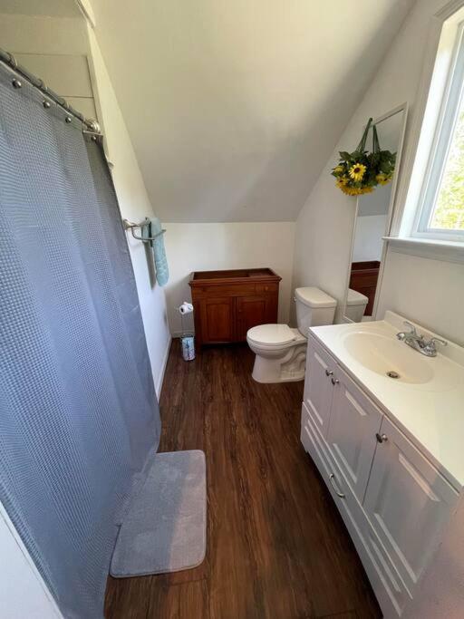 Eden Farm: Private Studio Minutes From Salisbury ภายนอก รูปภาพ
