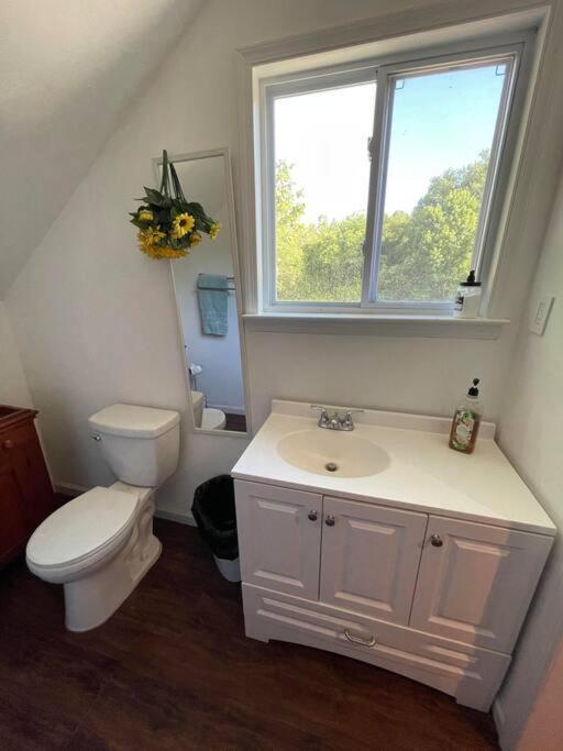 Eden Farm: Private Studio Minutes From Salisbury ภายนอก รูปภาพ